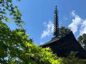 国宝 大法寺(長野県)(2023年05月04日(木) 12時35分09秒投稿)