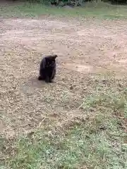 玉野御嶽神社の動物