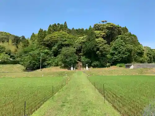 大山祇神社の周辺