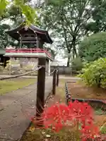 愛染院(東京都)