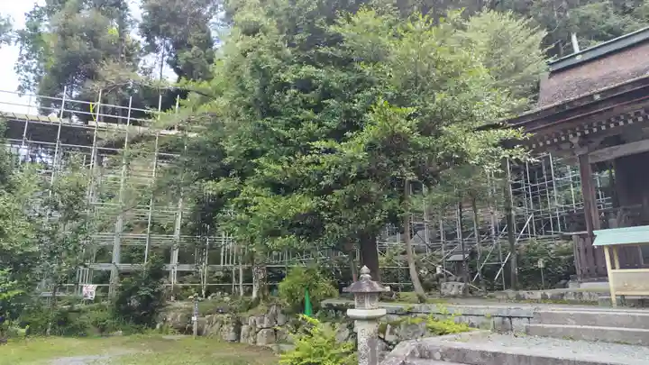 月読神社(松尾大社摂社)の自然