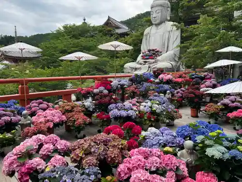 南法華寺（壷阪寺）(奈良県)