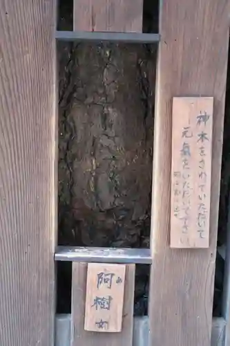 平等寺（因幡堂）(京都府)