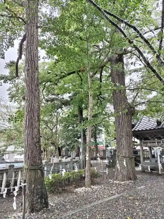 玉前神社(千葉県)