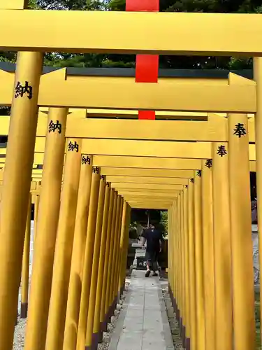 ほしいも神社(茨城県)