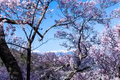 新城藤原神社(長野県)