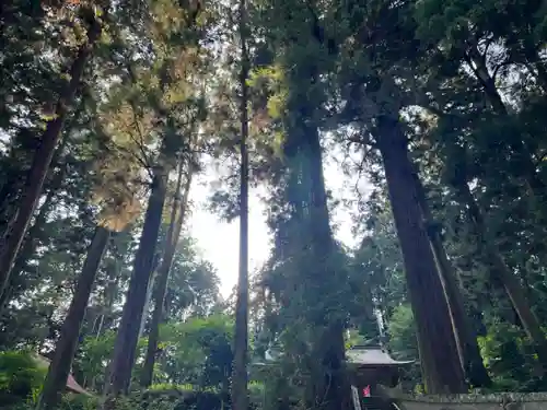 大宮温泉神社(栃木県)