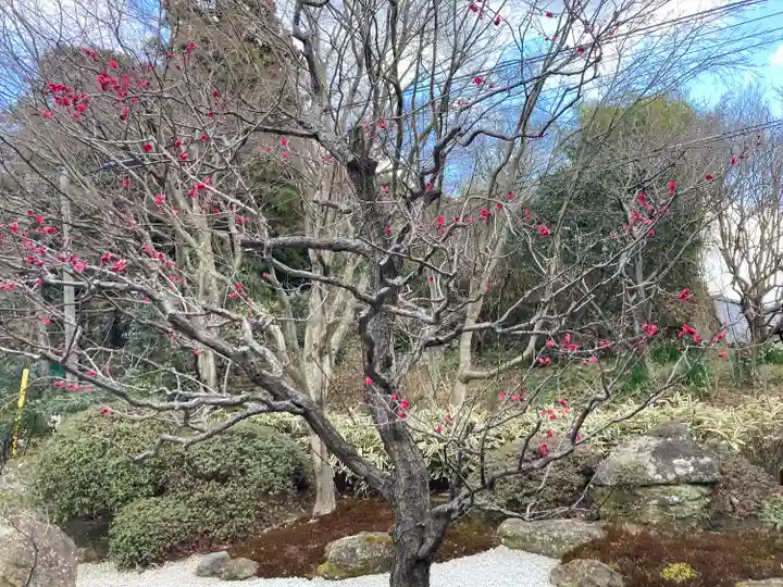 浄智寺(神奈川県)