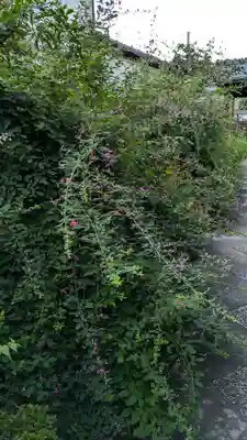 福田寺(京都府)