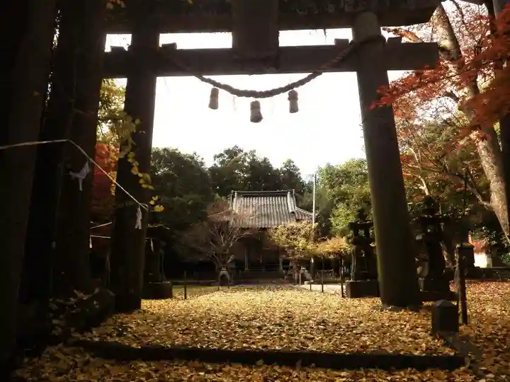 八幡宮(山口県)