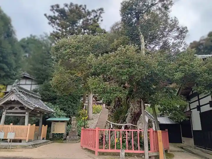 山王宮日吉神社(京都府)