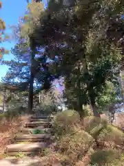 白岡八幡神社(埼玉県)