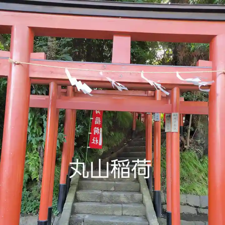 鶴岡八幡宮(神奈川県)