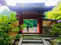 本光寺の山門・神門