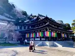 長谷寺(神奈川県)