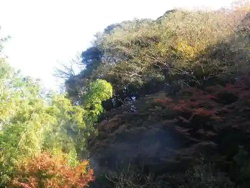 安國論寺（安国論寺）の景色