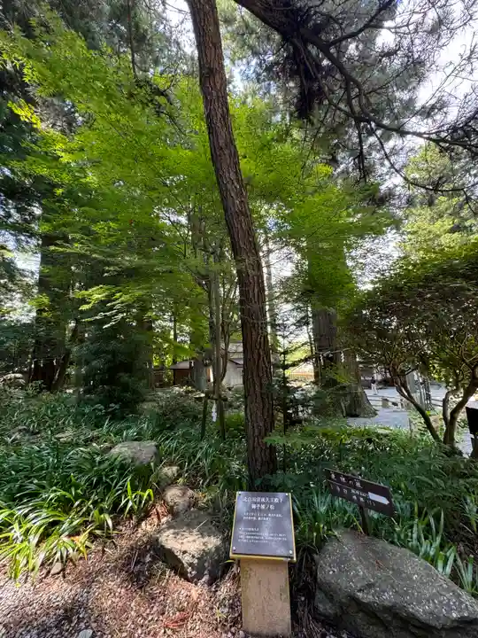 河口浅間神社(山梨県)