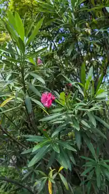 大谷本廟(京都府)