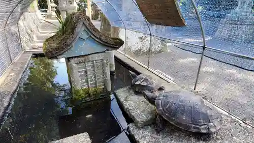 駒形神社の動物