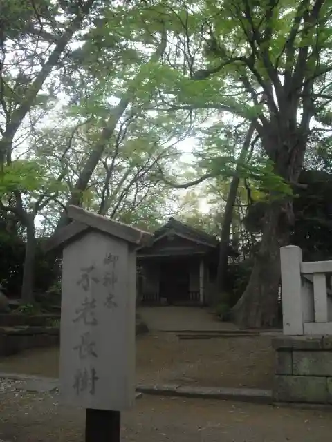 亀岡八幡宮(亀岡八幡神社)のその他建物