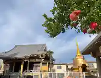 福王山 慈眼寺の自然