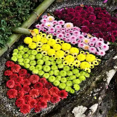 木幡山隠津島神社(二本松市)の手水舎