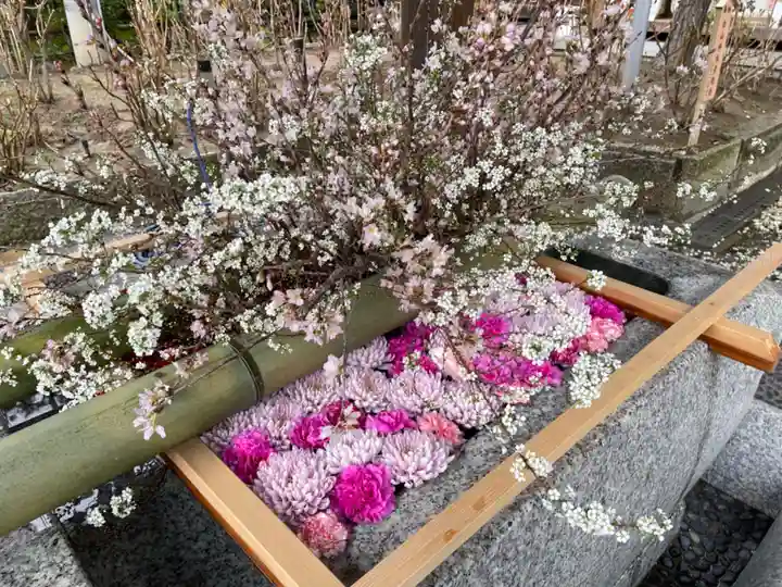白山神社の手水舎
