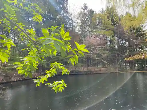北海道神宮の庭園