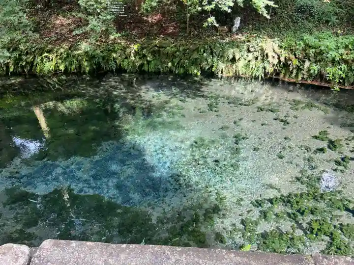 白川吉見神社(熊本県)
