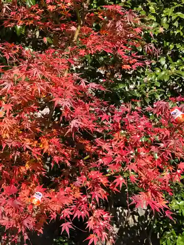 勝尾寺(大阪府)