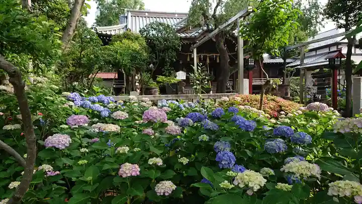 白山神社の庭園