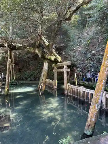 鹿島神宮(茨城県)