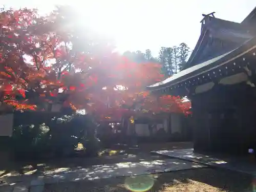 天徳院(和歌山県)