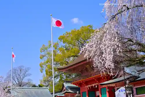 富士山本宮浅間大社(静岡県)
