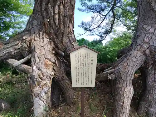 雲昌寺の自然
