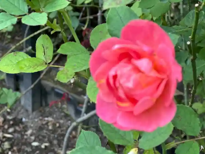 円通院(宮城県)