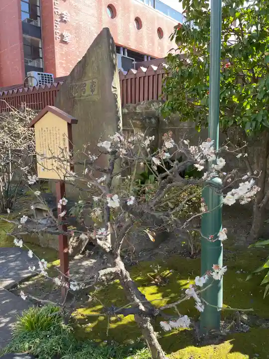 鎮護堂(東京都)