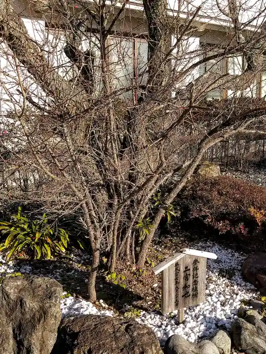 秋葉山本宮 秋葉神社 上社(静岡県)