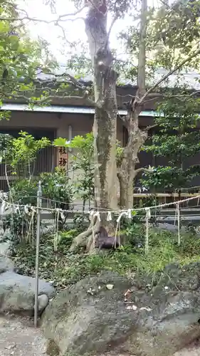 敬満神社の自然