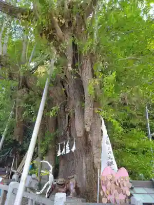 海南神社(神奈川県)
