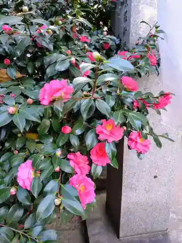 秋葉神社(東京都)