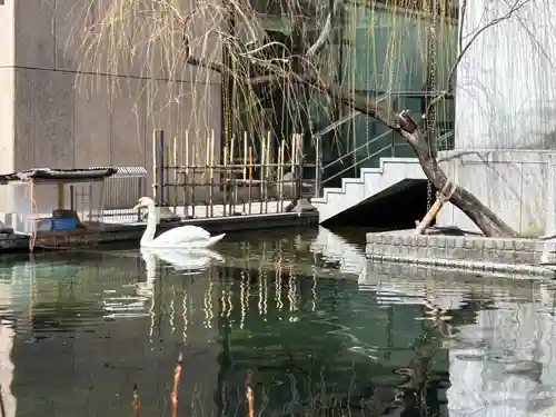 頂法寺（六角堂）(京都府)