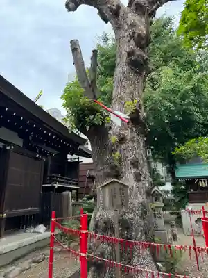 三輪神社(愛知県)