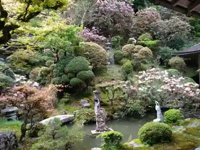 金剛三昧院(和歌山県)