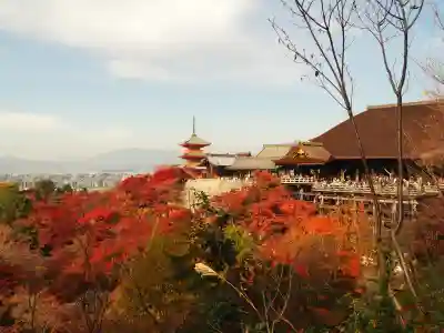 清水寺(京都府)