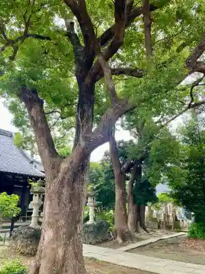 長福寺(神奈川県)