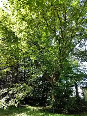 比布神社(北海道)