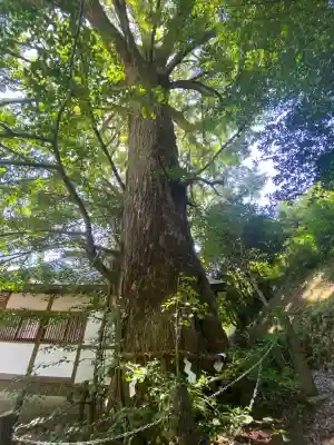 来迎院(奈良県)