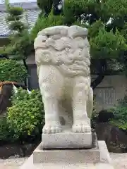 荒井神社の狛犬