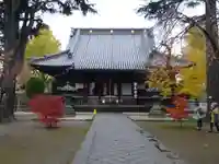 寛永寺(根本中堂)の本殿・本堂